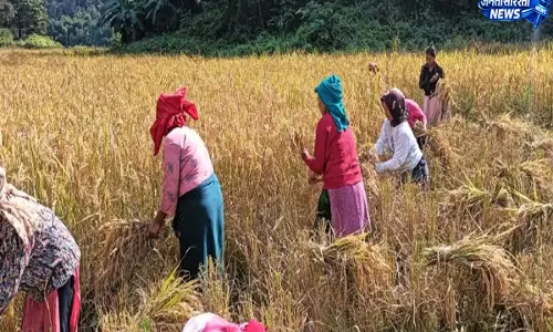 Nagaland: NPF किसान विंग ने नागालैंड में राज्यव्यापी दौरा शुरू किया Nagaland: NPF किसान विंग ने नागालैंड में राज्यव्यापी दौरा शुरू किया