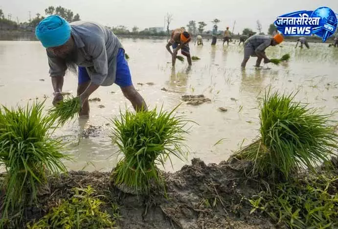 Punjab में बिजली और कृषि दोनों पर दबाव, चुनावी मौसम में चुनौती Punjab में बिजली और कृषि दोनों पर दबाव, चुनावी मौसम में चुनौती