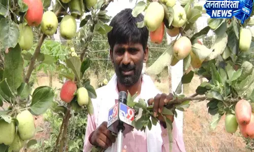 Farming with technology: बेंगलुरु के किसान ने मौसम की मुश्किलों में उगाया कश्मीरी सेब Farming with technology: बेंगलुरु के किसान ने मौसम की मुश्किलों में उगाया कश्मीरी सेब