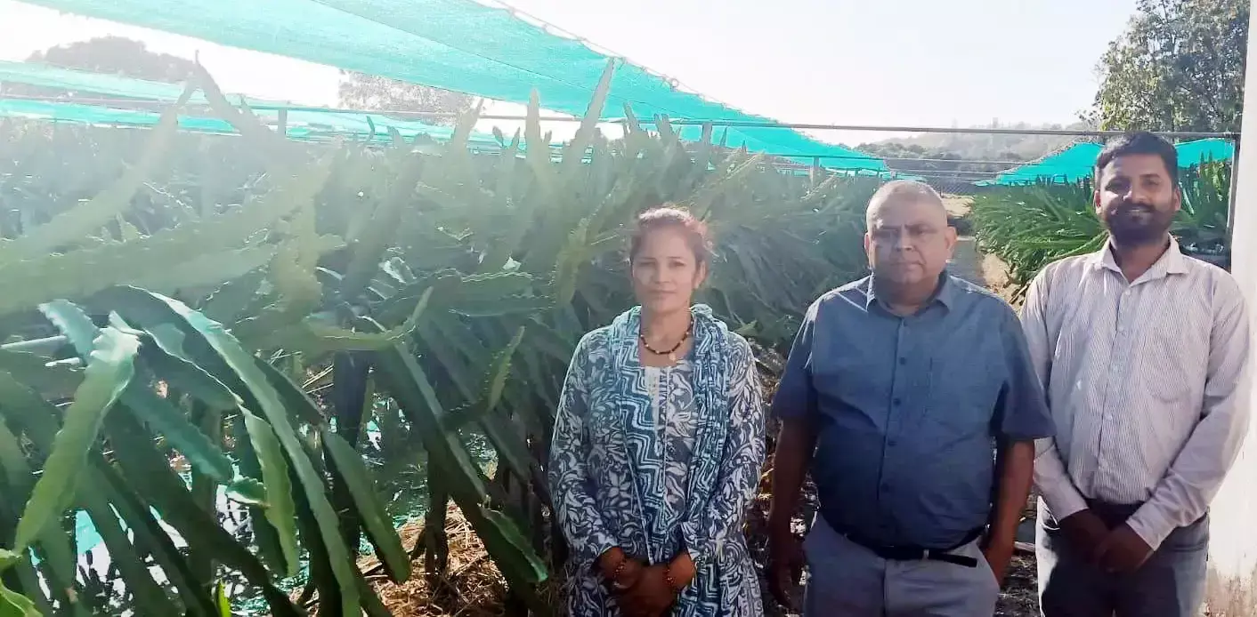Nainital: नैनीताल में महिलाओं की आत्मनिर्भरता की नई मिसाल