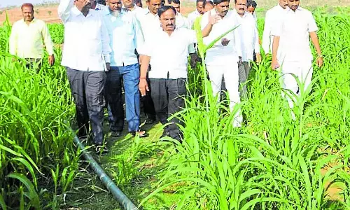 Karnataka : जनसेवा से जुड़े डी. सुधाकर को याद कर रहे लोग, हर दिन सैकड़ों समस्याएं सुनते थे