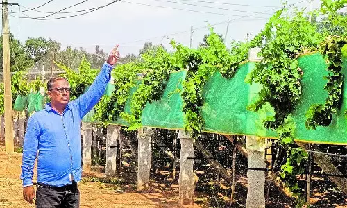 डंडीगनहल्ली रोड पर बिजली तारों से खतरा, स्थानीय लोगों ने उठाई सुरक्षा की मांग