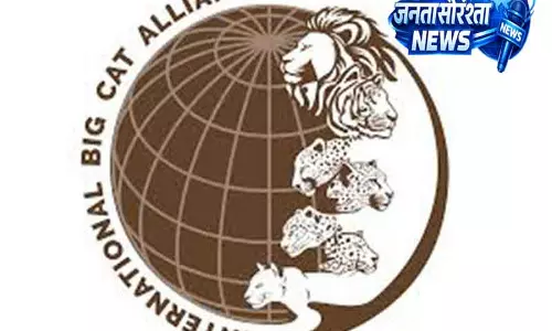 सऊदी अरब इंटरनेशनल बिग कैट अलायंस में शामिल सऊदी अरब इंटरनेशनल बिग कैट अलायंस में शामिल