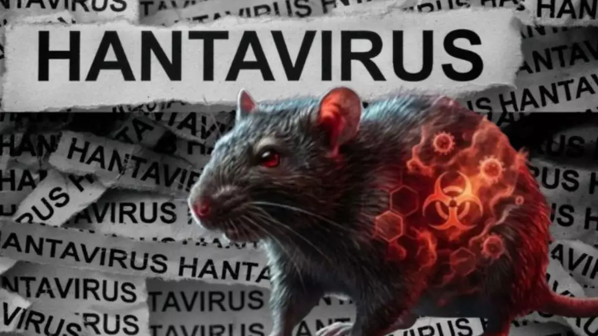 Fact Check: हंटावायरस, फाइजर COVID-19 वैक्सीन का पक्का साइड इफेक्ट नहीं Fact Check: हंटावायरस, फाइजर COVID-19 वैक्सीन का पक्का साइड इफेक्ट नहीं