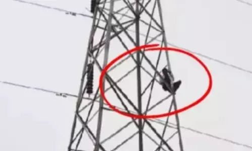 Panipat: पति से अनबन के बाद महिला ने किया हंगामा, टावर पर चढ़ी महिला Panipat: पति से अनबन के बाद महिला ने किया हंगामा, टावर पर चढ़ी महिला