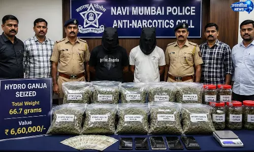 Mumbai ; ‘हाइड्रो गांजा’ रैकेट का भंडाफोड़, दो आरोपी गिरफ्तार, 6.6 लाख का माल जब्त Mumbai ; ‘हाइड्रो गांजा’ रैकेट का भंडाफोड़, दो आरोपी गिरफ्तार, 6.6 लाख का माल जब्त