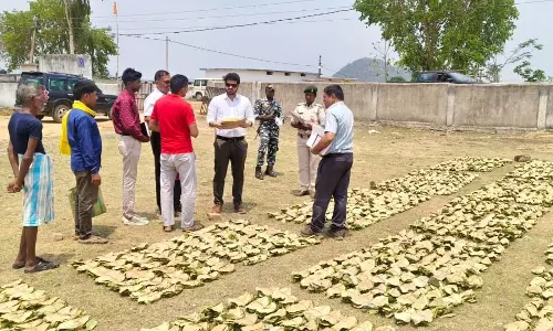 वन विभाग की सख्ती, सीमावर्ती इलाकों में अवैध तेंदूपत्ता कारोबार पर निगरानी तेज वन विभाग की सख्ती, सीमावर्ती इलाकों में अवैध तेंदूपत्ता कारोबार पर निगरानी तेज