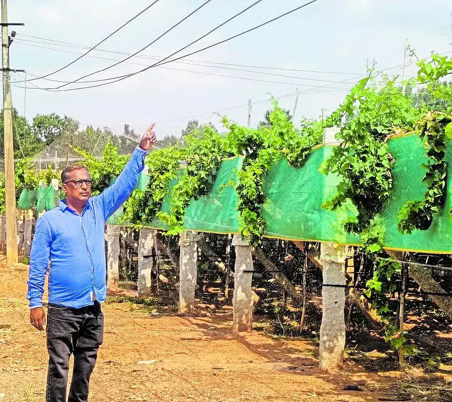 डंडीगनहल्ली रोड पर बिजली तारों से खतरा, स्थानीय लोगों ने उठाई सुरक्षा की मांग डंडीगनहल्ली रोड पर बिजली तारों से खतरा, स्थानीय लोगों ने उठाई सुरक्षा की मांग