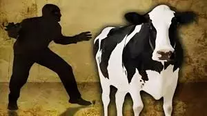 Farrukhabad: सीसीटीवी में कैद हुई पालतू गाय की चोरी Farrukhabad: सीसीटीवी में कैद हुई पालतू गाय की चोरी