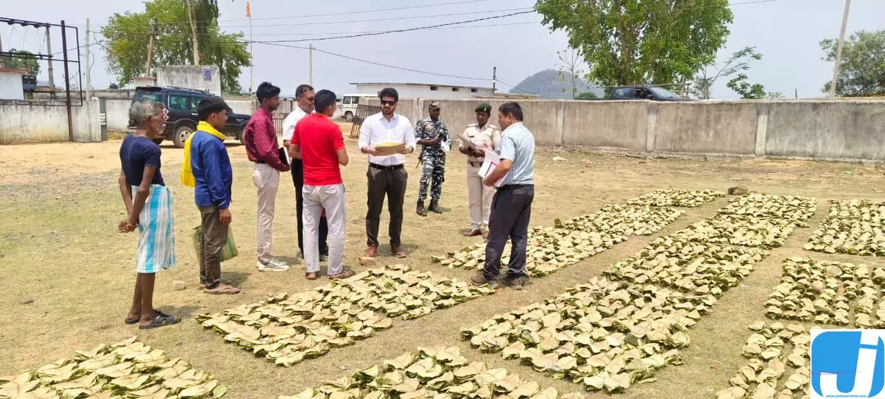 वन विभाग की सख्ती, सीमावर्ती इलाकों में अवैध तेंदूपत्ता कारोबार पर निगरानी तेज वन विभाग की सख्ती, सीमावर्ती इलाकों में अवैध तेंदूपत्ता कारोबार पर निगरानी तेज