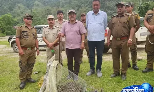 Likabali: बचाए गए अजगर को जंगल में सुरक्षित छोड़ दिया गया Likabali: बचाए गए अजगर को जंगल में सुरक्षित छोड़ दिया गया