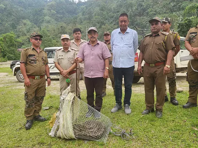 Arunachal: बचाए गए अजगर को जंगल में छोड़ा गया Arunachal: बचाए गए अजगर को जंगल में छोड़ा गया