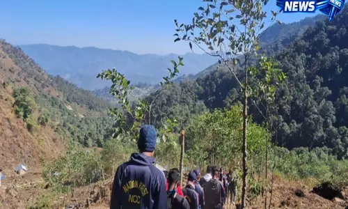 Nagaland University study: पहाड़ी खेती में पानी बचाने के लिए बायोचार पर जोर Nagaland University study: पहाड़ी खेती में पानी बचाने के लिए बायोचार पर जोर