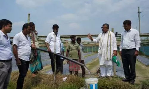त्रिपुरा ने पूर्वोत्तर में पीएम-कुसुम योजना के तहत 8,364 सौर पंप किए स्थापित