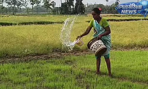 Vellore में किसानों को हीट वेव से बचाव के लिए जिला प्रशासन की सलाह, फसल प्रबंधन पर जोर Vellore में किसानों को हीट वेव से बचाव के लिए जिला प्रशासन की सलाह, फसल प्रबंधन पर जोर