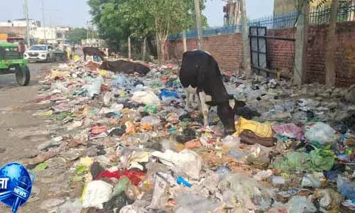 Hisar: सफाई कर्मचारी कचरा नहीं उठाने देंगे