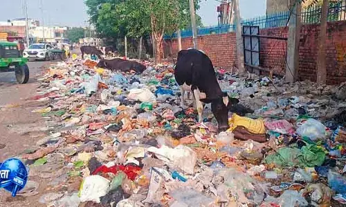 Hisar कचरा गार्ड ड्यूटी पर प्रदर्शनकारी कर्मचारी