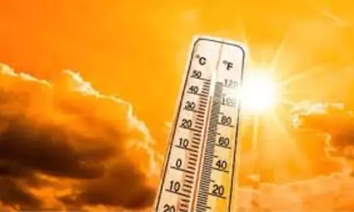 Jaipur: भीषण गर्मी का कहर, कई शहरों में पारा 45 पार