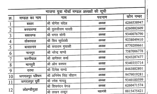 नई नियुक्तियां की गई भाजयुमो जिला कार्यकारिणी में नई नियुक्तियां की गई भाजयुमो जिला कार्यकारिणी में