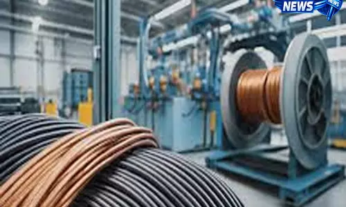 डायनेमिक केबल्स का Q4 प्रॉफिट ₹24 करोड़, रेवेन्यू ₹1,197 करोड़ से अधिक
