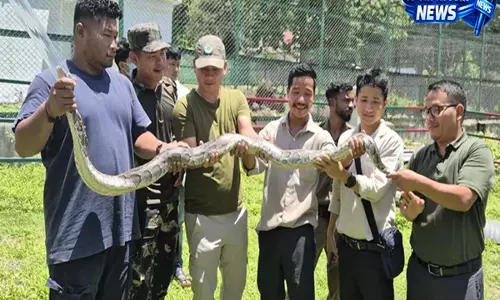 ROING: वन अधिकारियों को सांप पहचानने और सुरक्षित संभालने का प्रशिक्षण ROING: वन अधिकारियों को सांप पहचानने और सुरक्षित संभालने का प्रशिक्षण