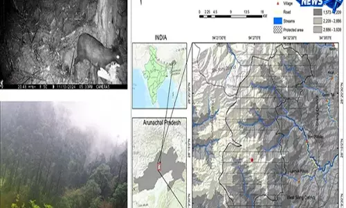 Itanagar: YRS वाइल्डलाइफ सैंक्चुअरी में कस्तूरी मृग की कैमरा-ट्रैप तस्वीरें रिकॉर्ड Itanagar: YRS वाइल्डलाइफ सैंक्चुअरी में कस्तूरी मृग की कैमरा-ट्रैप तस्वीरें रिकॉर्ड