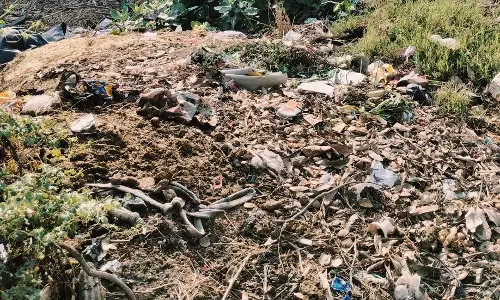 Hisar: गंदगी हटाने को लेकर प्रशासन से कार्रवाई की मांग
