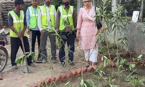 NGO ने Doraha रोड पर कूड़े के ढेर को ग्रीन स्पेस में बदल दिया NGO ने Doraha रोड पर कूड़े के ढेर को ग्रीन स्पेस में बदल दिया