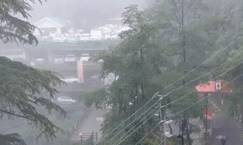 Shimla: बारिश और तेज हवाओं का हिमाचल में अलर्ट जारी