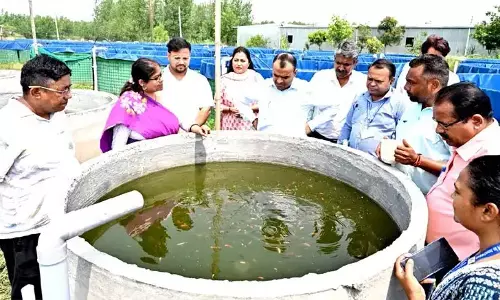 Haridwar: जिलाधिकारी का मत्स्य क्लस्टर दौरा, योजनाओं की समीक्षा