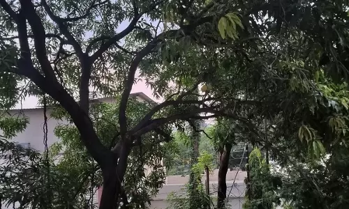 IPL मैच शुरू होने से पहले रायपुर में छाई काली घटा IPL मैच शुरू होने से पहले रायपुर में छाई काली घटा