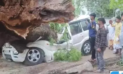 आंधी-बारिश और ओलावृष्टि से तबाही, 41 की मौत; कई जिलों में भारी नुकसान आंधी-बारिश और ओलावृष्टि से तबाही, 41 की मौत; कई जिलों में भारी नुकसान