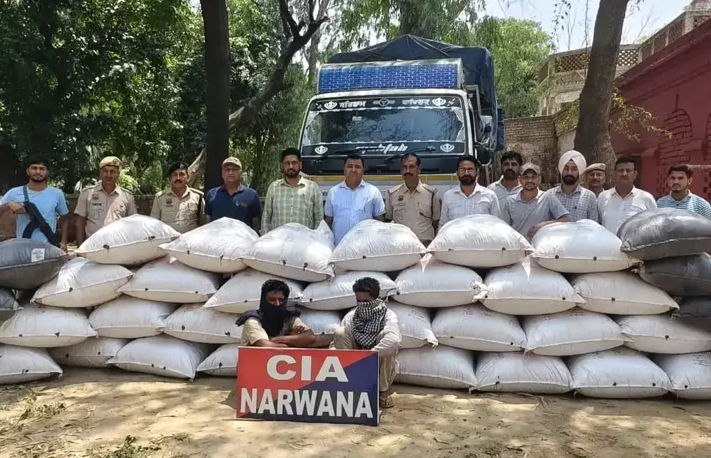 Jind: 8 क्विंटल 15 किलो डोडा पोस्त बरामद, दो आरोपी गिरफ्तार Jind: 8 क्विंटल 15 किलो डोडा पोस्त बरामद, दो आरोपी गिरफ्तार