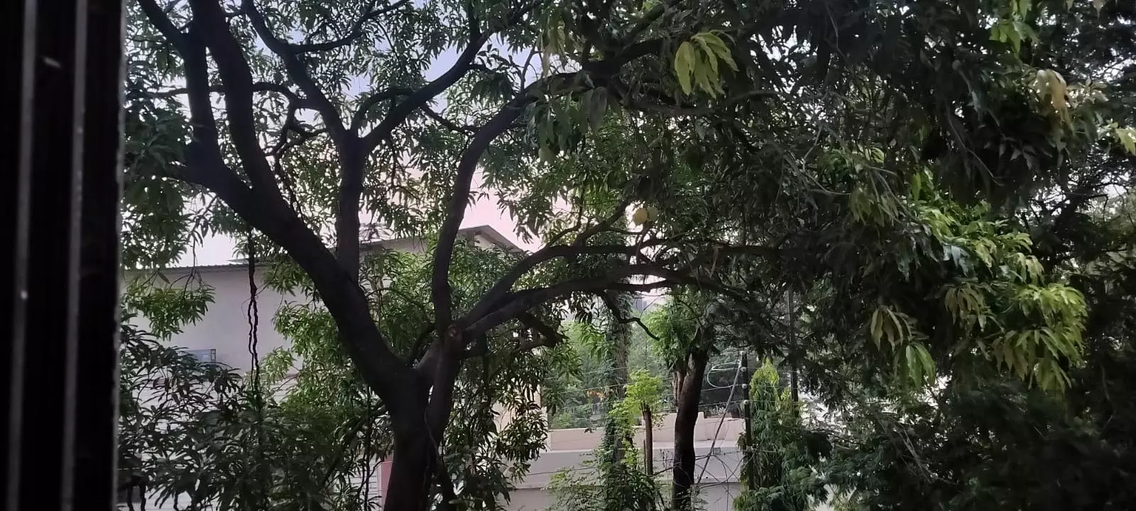 IPL मैच शुरू होने से पहले रायपुर में छाई काली घटा IPL मैच शुरू होने से पहले रायपुर में छाई काली घटा