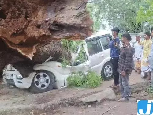 आंधी-बारिश और ओलावृष्टि से तबाही, 41 की मौत; कई जिलों में भारी नुकसान आंधी-बारिश और ओलावृष्टि से तबाही, 41 की मौत; कई जिलों में भारी नुकसान