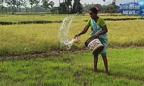 Vellore में किसानों को हीट वेव अलर्ट, फसल बचाव की सलाह Vellore में किसानों को हीट वेव अलर्ट, फसल बचाव की सलाह