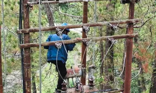 Himachal पावर बोर्ड: 5 साल में 46 कर्मचारियों की मौत Himachal पावर बोर्ड: 5 साल में 46 कर्मचारियों की मौत