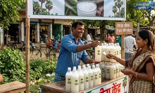 Bihar : नीरा उत्पादन को बढ़ावा देने के लिए 5300 ताड़ पेड़ों की पहचान