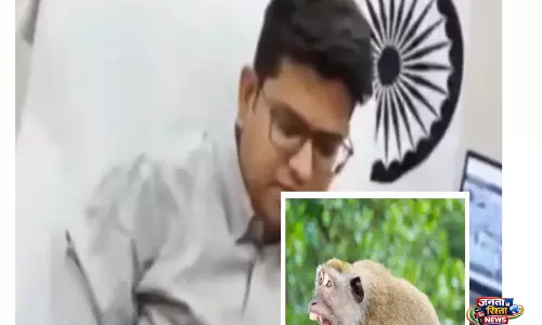 सिद्धार्थनगर में बंदर हमले की शिकायत पर DM की कॉल विवाद, वीडियो वायरल सिद्धार्थनगर में बंदर हमले की शिकायत पर DM की कॉल विवाद, वीडियो वायरल