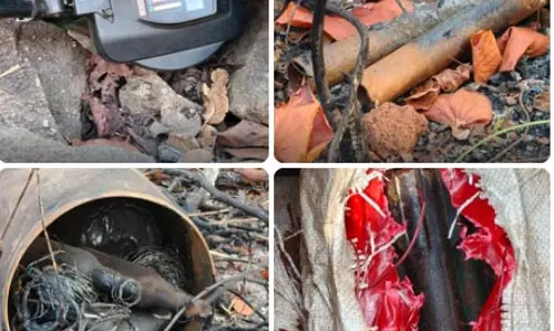 कांकेर-नारायणपुर सीमा पर नक्सल डम्प बरामद, IED समेत भारी विस्फोटक सामग्री मिली