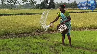 Vellore में किसानों को हीट वेव अलर्ट, फसल बचाव की सलाह Vellore में किसानों को हीट वेव अलर्ट, फसल बचाव की सलाह