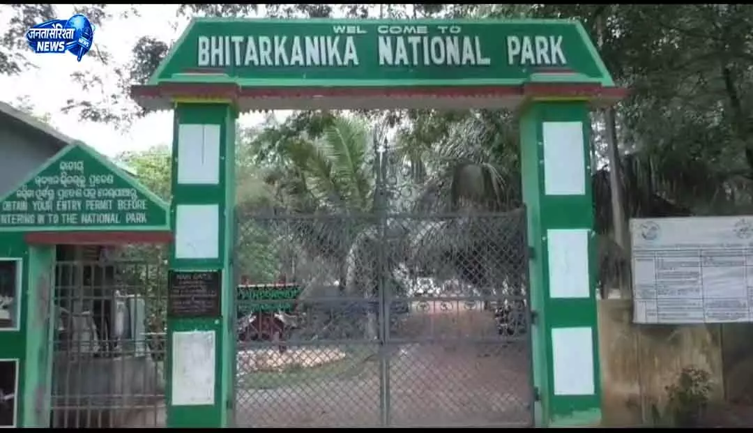 Bhitarkanika: एंटी-पोचिंग रेड में हिरण का मांस बरामद Bhitarkanika: एंटी-पोचिंग रेड में हिरण का मांस बरामद