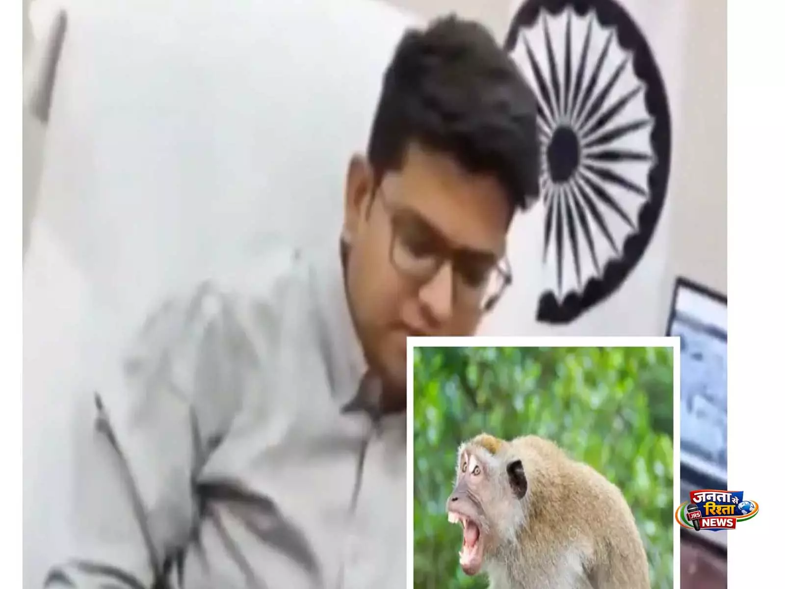 सिद्धार्थनगर में बंदर हमले की शिकायत पर DM की कॉल विवाद, वीडियो वायरल सिद्धार्थनगर में बंदर हमले की शिकायत पर DM की कॉल विवाद, वीडियो वायरल
