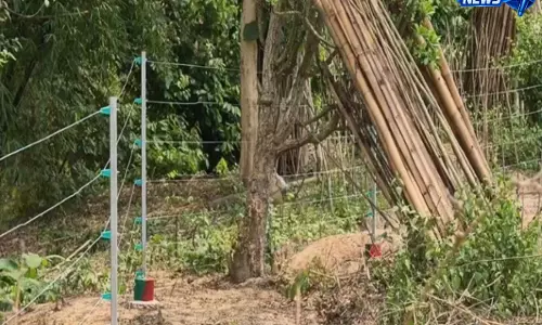 Tripura : हाथियों के टकराव रोकने सोलर फेंसिंग और खाइयां लगाईं