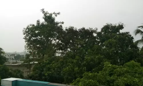 रायपुर में गरजना के साथ हो रही बारिश रायपुर में गरजना के साथ हो रही बारिश