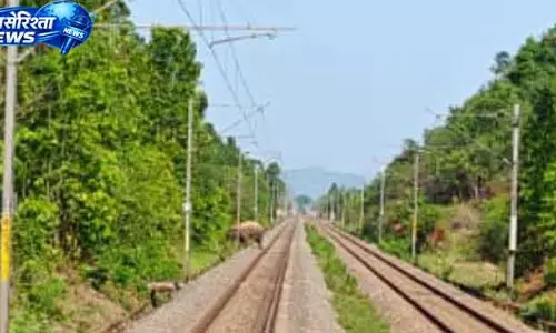 Keonjhar टस्कर दुर्घटना टली, लोको पायलटों की तुरंत कार्रवाई से Keonjhar टस्कर दुर्घटना टली, लोको पायलटों की तुरंत कार्रवाई से