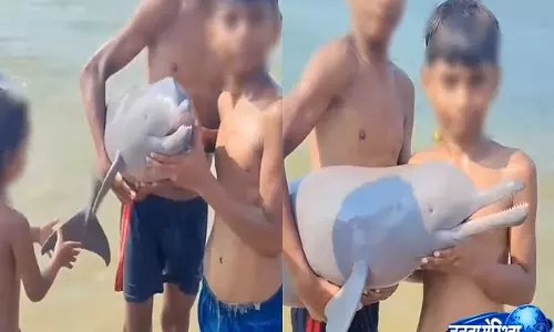 अरे बेवकूफ़, मर जाएगा वो: छपरा में नदी किनारे डॉल्फ़िन के साथ खेलते बच्चे, इंटरनेट पर गुस्सा अरे बेवकूफ़, मर जाएगा वो: छपरा में नदी किनारे डॉल्फ़िन के साथ खेलते बच्चे, इंटरनेट पर गुस्सा