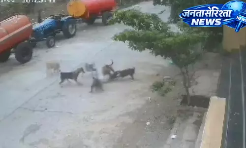 Beed में आवारा कुत्तों का आतंक, 4 वर्षीय बच्चे पर झुंड ने किया हमला Beed में आवारा कुत्तों का आतंक, 4 वर्षीय बच्चे पर झुंड ने किया हमला