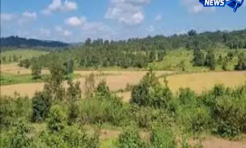 Meghalaya: लपांगप फसल नुकसान पर किसानों ने लगाया आरोप, सुरक्षा बढ़ाई Meghalaya: लपांगप फसल नुकसान पर किसानों ने लगाया आरोप, सुरक्षा बढ़ाई