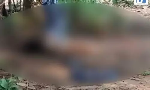 महिला वकील की अर्धनग्न लाश बरामद, चेहरा कुचलकर पहचान मिटाने की कोशिश, मामले में नया अपडेट आया महिला वकील की अर्धनग्न लाश बरामद, चेहरा कुचलकर पहचान मिटाने की कोशिश, मामले में नया अपडेट आया